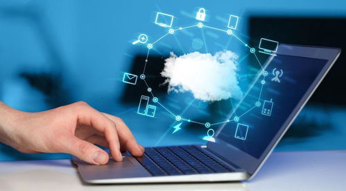 第三方软件检测机构的服务流程与选择策略