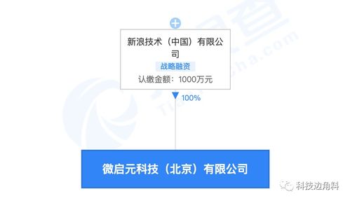 新浪布局新赛道 微启元科技公司成立，公关与软件服务双轮驱动